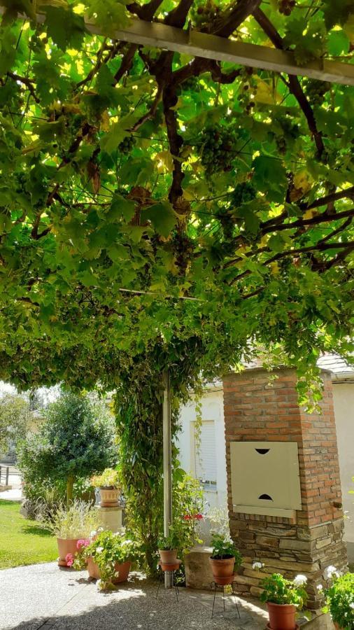 El Maragato Villa Castrillo de Cepeda Exteriör bild